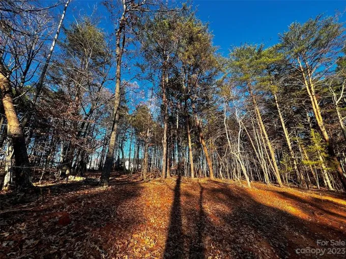 Davidson, Iredell County, NC Undeveloped Land, Homesites for sale Property ID: 418710506