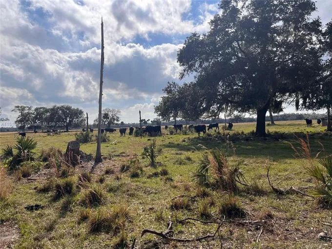 25750 Southwest Jockeys Run, Okeechobee, FL 34974 for Sale