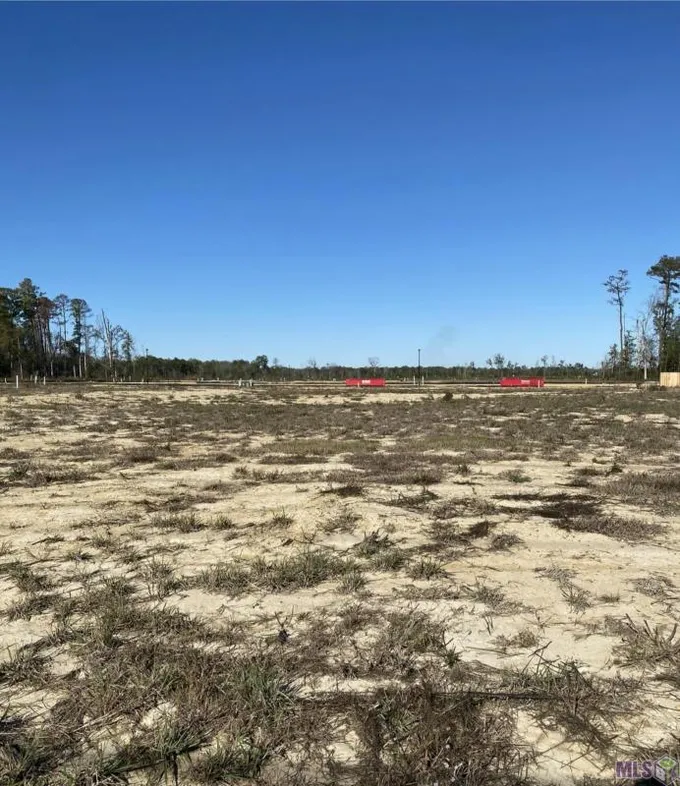 22366 - B-2-A LA HWY 16, Denham Springs, LA 70726 Land For Sale  MLS# 2023019738