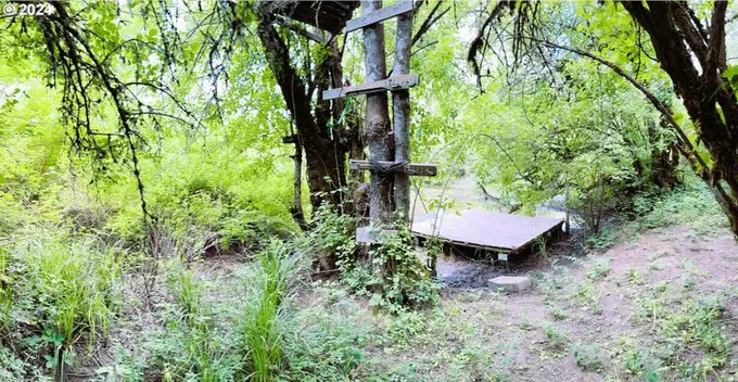 Junction City, Lane County, OR Undeveloped Land, Homesites for sale Property ID: 418902903