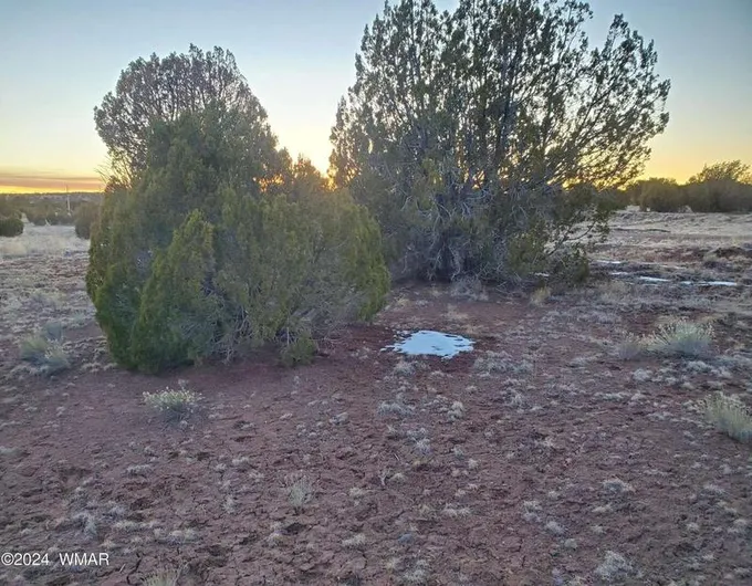 14 County Road 5204, Concho, AZ 85924  624704299 for Sale