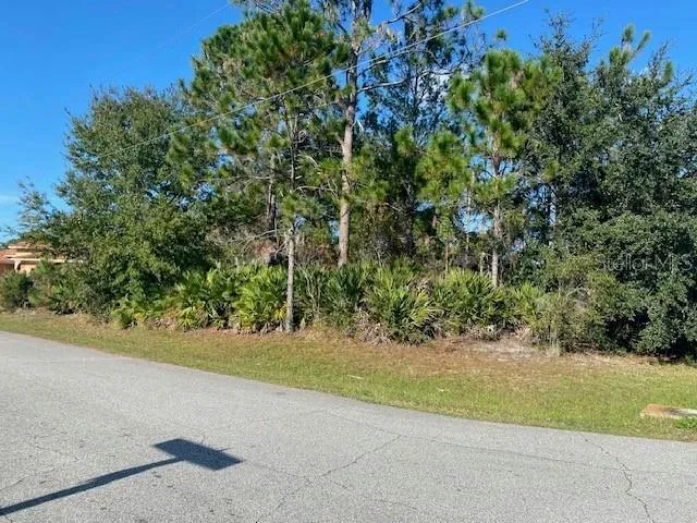 61 PRINCE MICHAEL LN, PALM COAST, FL 32164 Land For Sale  MLS# FC296615