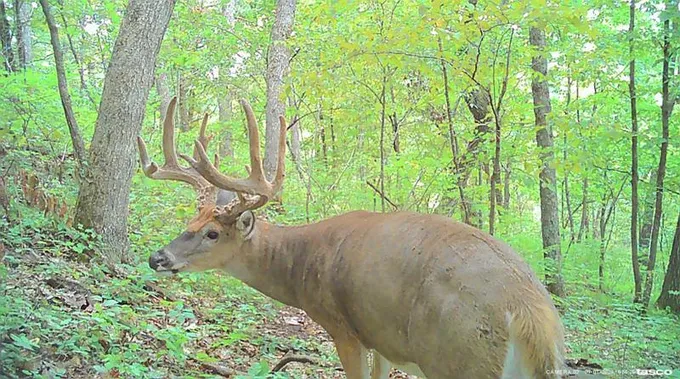 Soldiers Grove, Crawford County, WI Recreational Property, Hunting Property for sale Property ID: 418730830