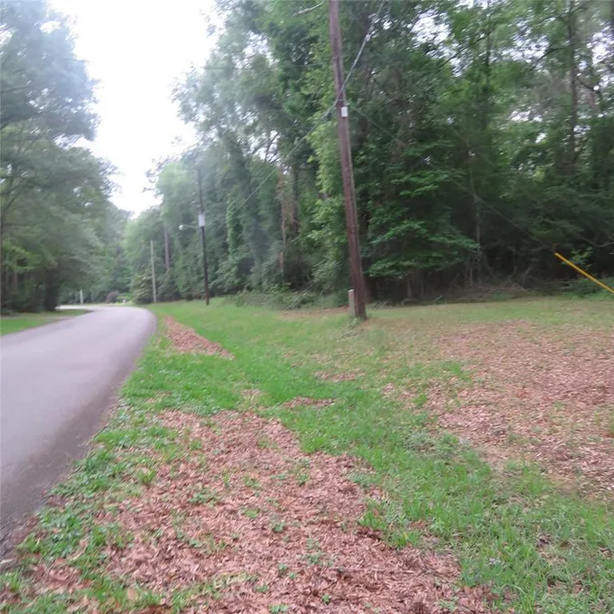 LOT 1 & 2 BLOCK S W WILDWOOD DRIVE, Village Mills, TX 77660 for Sale