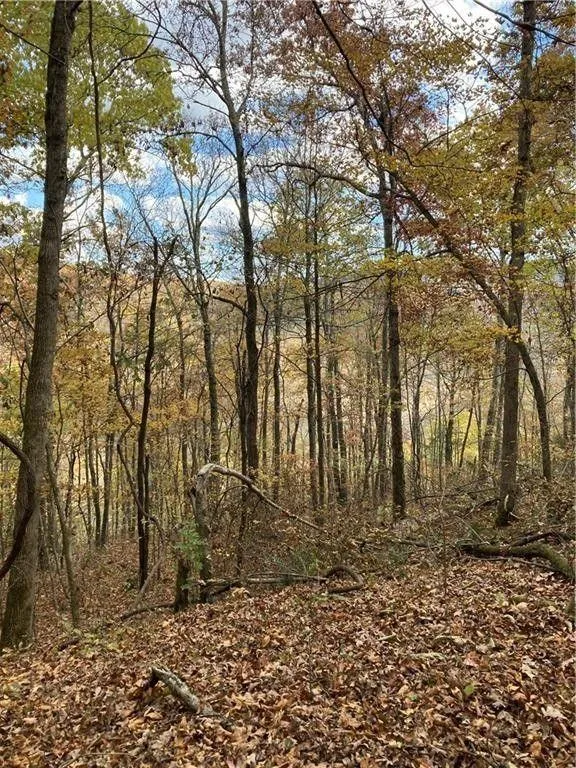 Boxley, Newton County, AR Undeveloped Land for sale Property ID: 418519125