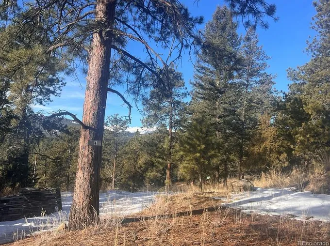 5085 White House Trail Lot 004B, Evergreen, CO 80439 - MLS 8029428 for Sale
