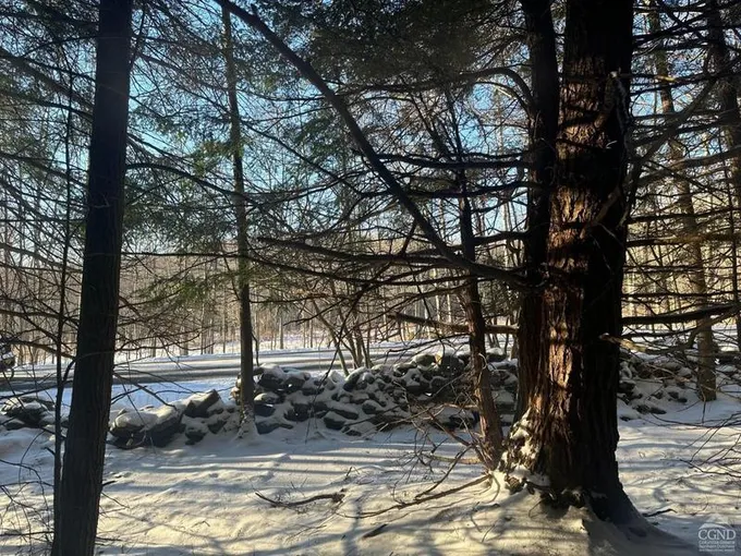 Jewett, Greene County, NY Undeveloped Land for sale Property ID: 418699054