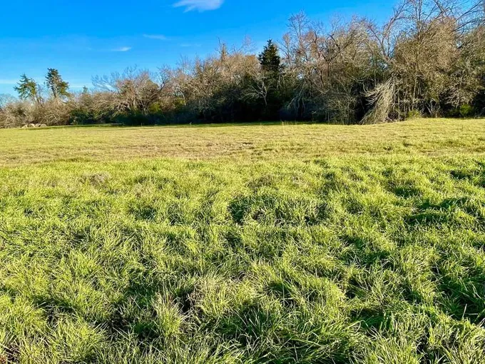 Franklin, Robertson County, TX Recreational Property, Undeveloped Land, Homesites for sale Property ID: 418828115