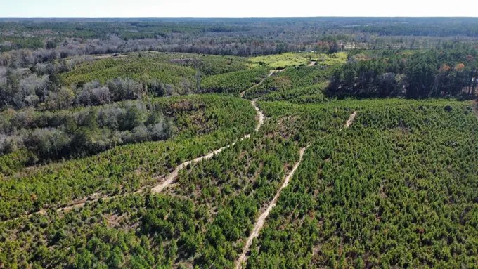 Mendenhall, Simpson County, MS Farms and Ranches, Recreational Property for sale Property ID: 418489433