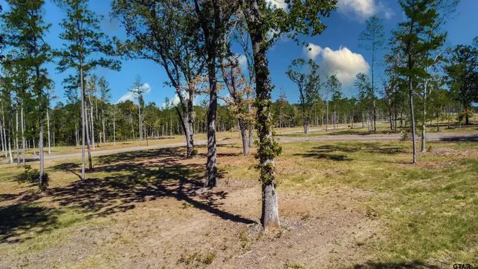 15482 Aniston Lane (LOT 28), Flint, TX 75762 for Sale