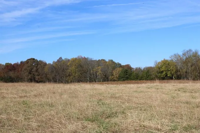 0 Hamilton Rock Lane, Savannah, TN 38372 for Sale