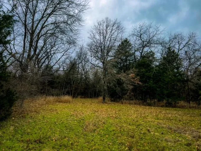 341 Billy Rd, Bowie, TX 76230 for Sale