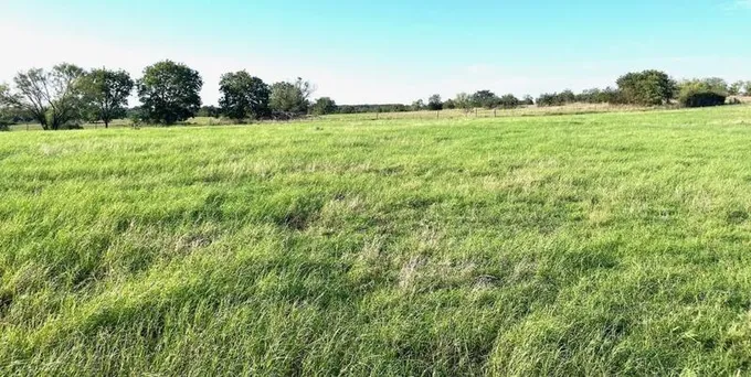 Lot 23 Kilkenny Rd, Poolville, TX 76487 - MLS 20534164 for Sale