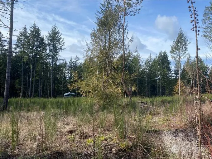 15638 176TH AVE NW, Gig Harbor, WA 98329 Land For Sale  MLS# 2193197