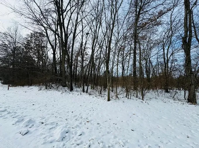 0 S Hess St, Brook, IN 47922 - MLS 544015 for Sale