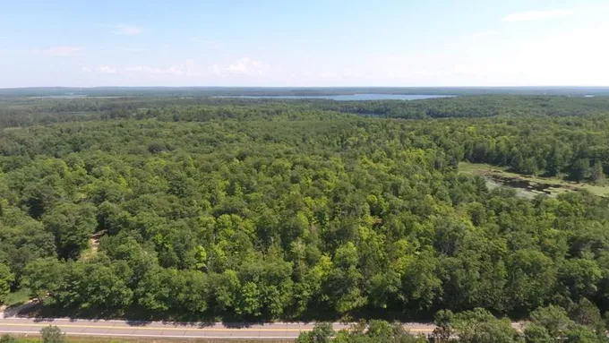 84 Northeast Longville Mn 56655 Northeast, Longville, MN 56655 for Sale