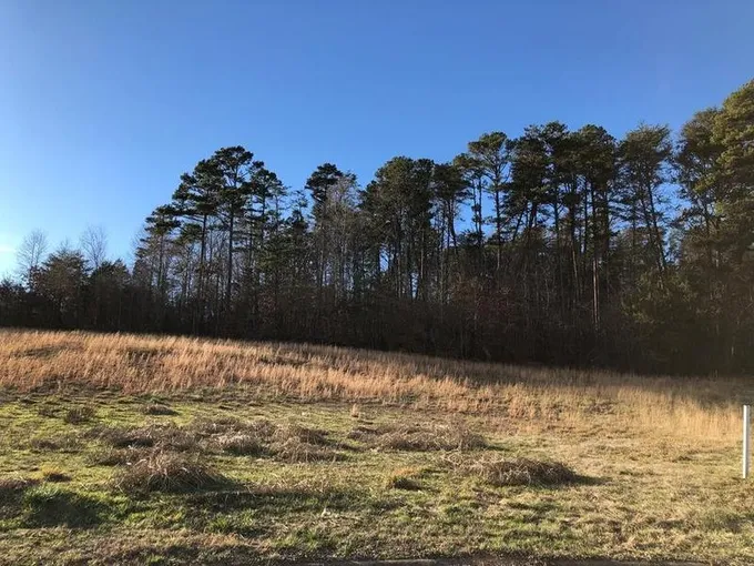 Seymour, Sevier County, TN Undeveloped Land, Homesites for sale Property ID: 418910132