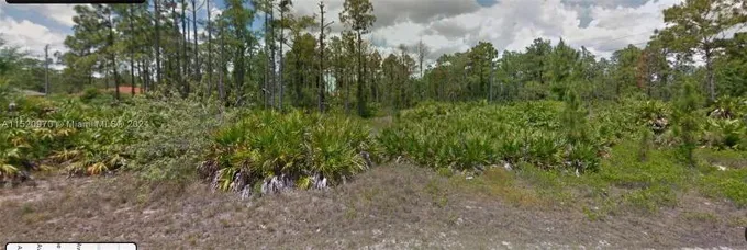 Port Charlotte, Charlotte County, FL Undeveloped Land, Homesites for sale Property ID: 418763734