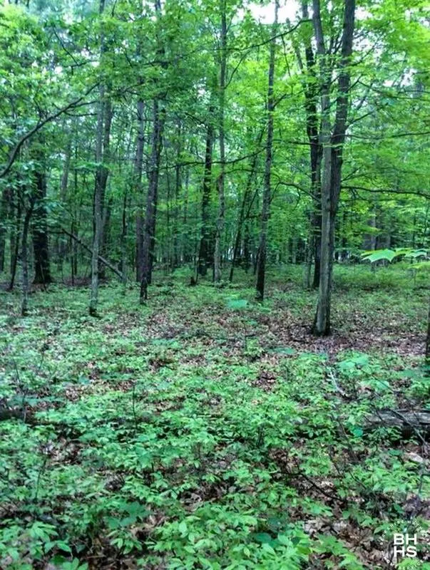 Peru, Clinton County, NY Homesites for sale Property ID: 418713611