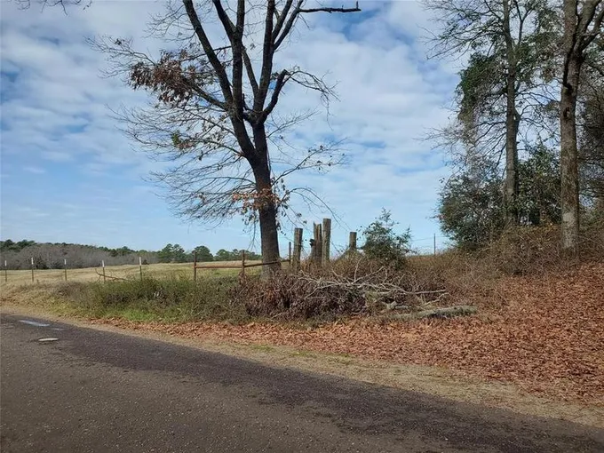 TBD Beech, Big Sandy, TX 75755 for Sale