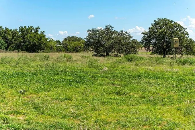 00 OTHER, Mason, TX 76856 Land For Sale  MLS# 89967