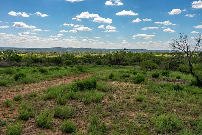00 OTHER, Mason, TX 76856 Land For Sale  MLS# 89966