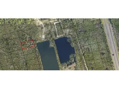 Sw17 for Sale