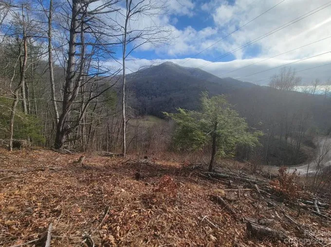 1800 Water Wheel Cove, Clyde, NC 28721 - MLS 4106787 for Sale