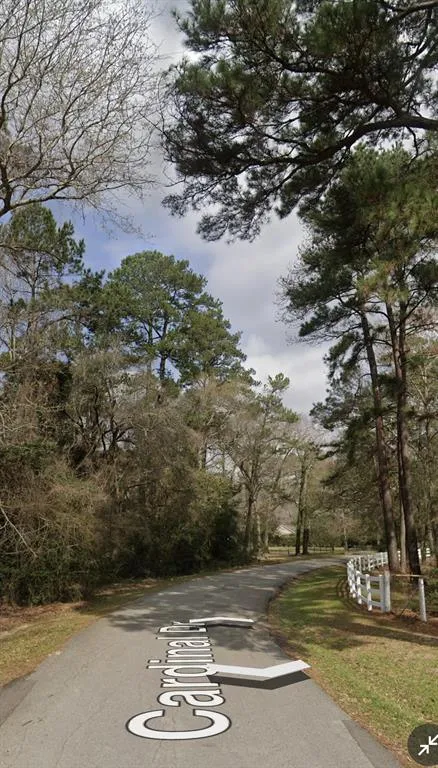 0 Cardinal Dr, Hockley, TX 77447 for Sale