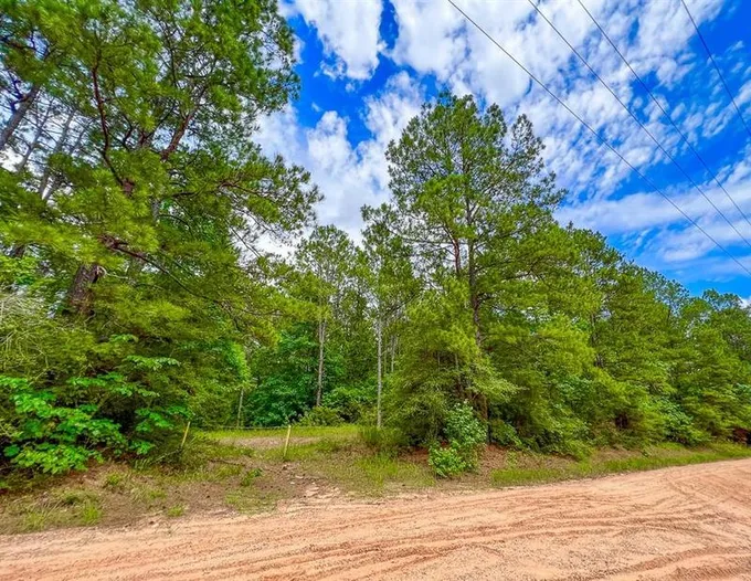 000 Hickman Rd, Corrigan, TX 75939 for Sale