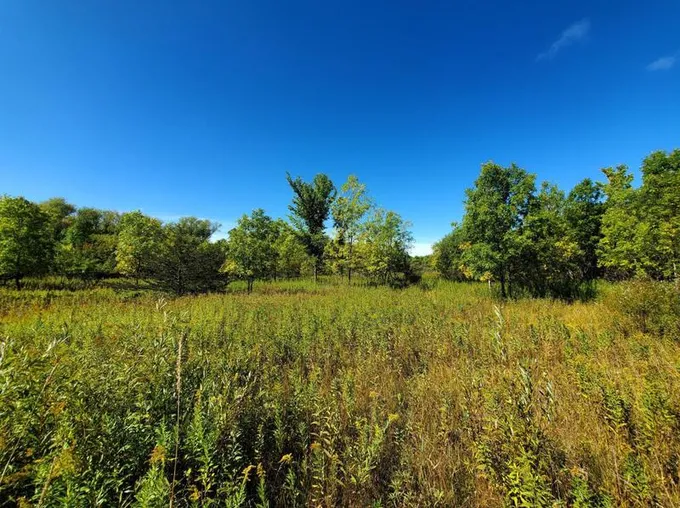 xyz Norman Ave N, Foley, MN 56329 - MLS 6433633 for Sale