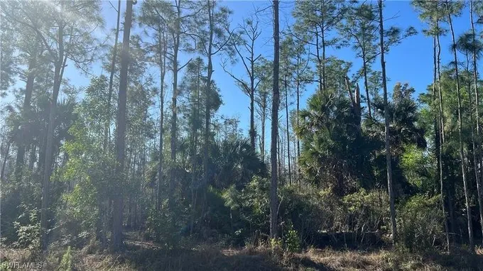 Naples, Collier County, FL Undeveloped Land, Homesites for sale Property ID: 418924697