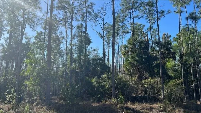 Naples, Collier County, FL Undeveloped Land, Homesites for sale Property ID: 418924696