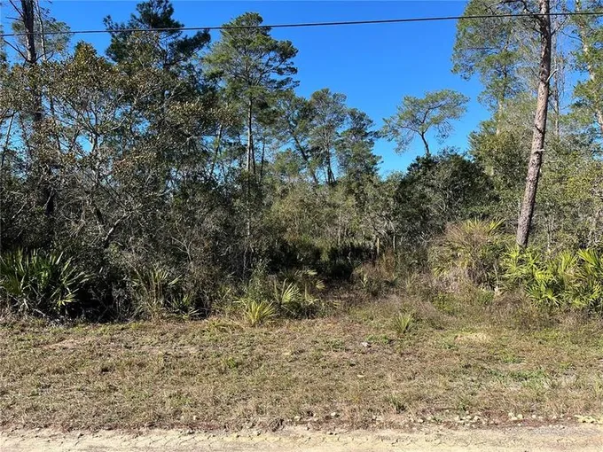 6346 North Polar Point, Dunnellon, FL 34433 for Sale