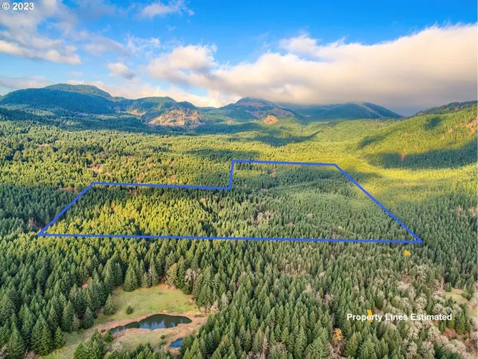 Bergen Road, Stevenson, WA 98648 for Sale