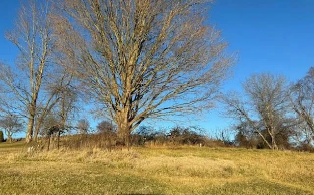 12891 LINDELL RD, Meadowview, VA 24361 Land For Sale  MLS# 92301