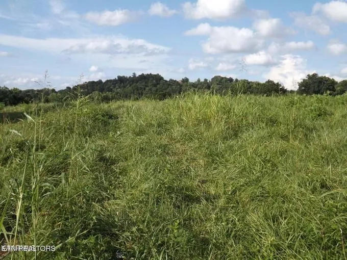 New Tazewell, Claiborne County, TN Undeveloped Land, Homesites for sale Property ID: 417872261