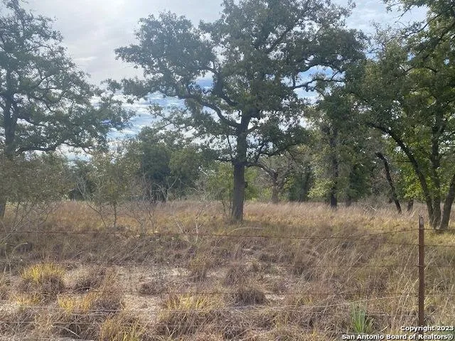 Tbd Longhorn Rd 5.10 Acres, Stockdale, TX 78160 for Sale