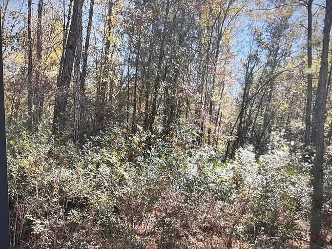 00 DUNCAN BRIDGE RD, Waycross, GA 31501 Land For Sale  MLS# 401283