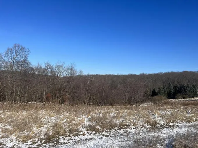 Glen Hope, Clearfield County, PA Undeveloped Land for sale Property ID: 418549025