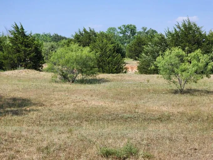 Alvord, Wise County, TX Farms and Ranches for sale Property ID: 418738589