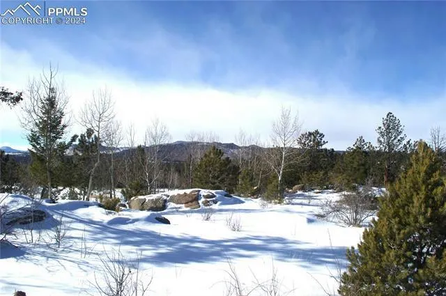 285 CHATEAU VISTA DR, Florissant, CO 80816 Land For Sale  MLS# 6441666