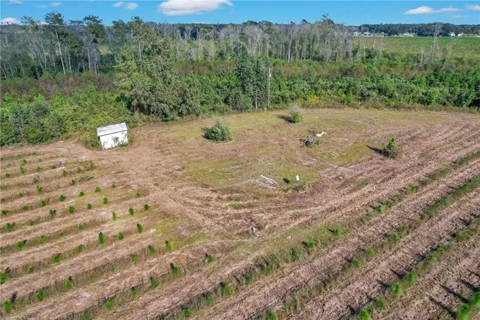2000 SELLERS RD # 5, Baxley, GA 31513 Farm For Sale  MLS# 1644749