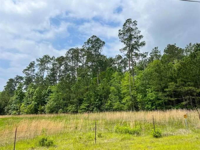 0 Elise Gore Lane, Silsbee, TX 77656 for Sale