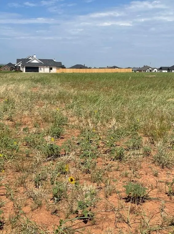 141 Sparrow Hls Ln, Tuscola, TX 79562 - MLS 20337899 for Sale