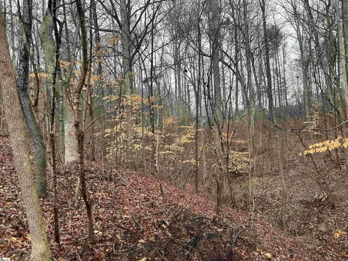Fair Play, Oconee County, SC Undeveloped Land, Homesites for sale Property ID: 418756783