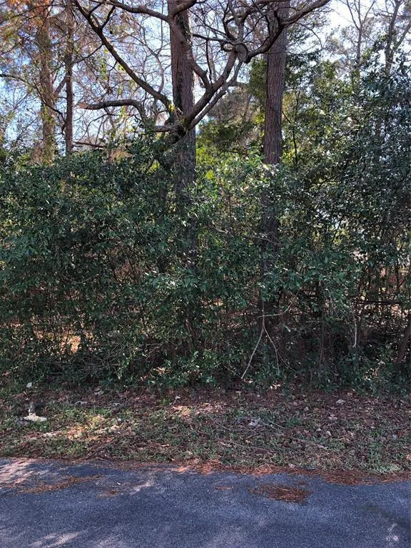 389 Live Oak, Trinity, TX 75862 for Sale