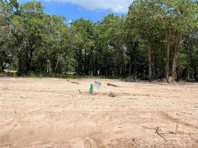 472 Peace Lily Way, Tolar, TX 76476 for Sale