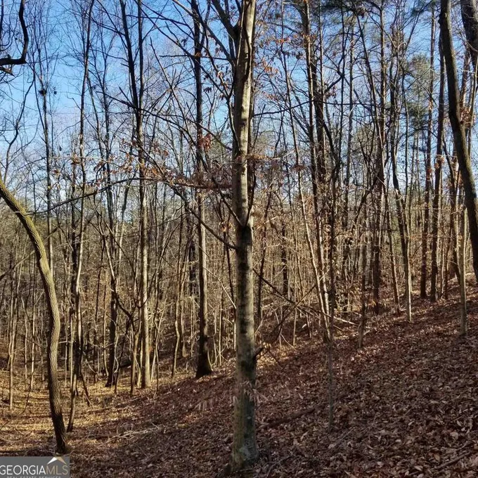 251 Sunset Pl #TRACT 2, Canton, GA 30114 - MLS 20167708 for Sale