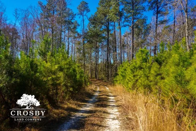 Lodge, Colleton County, SC Recreational Property, Hunting Property for sale Property ID: 418854613